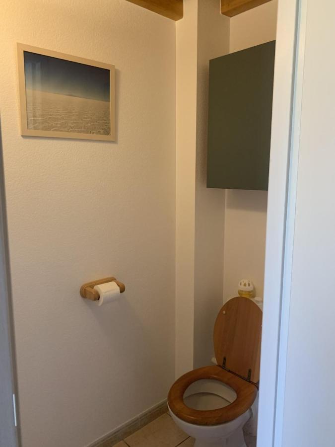 Appartement Dans Chalet Avec Jardin, Vue Montagne 欧坎 外观 照片