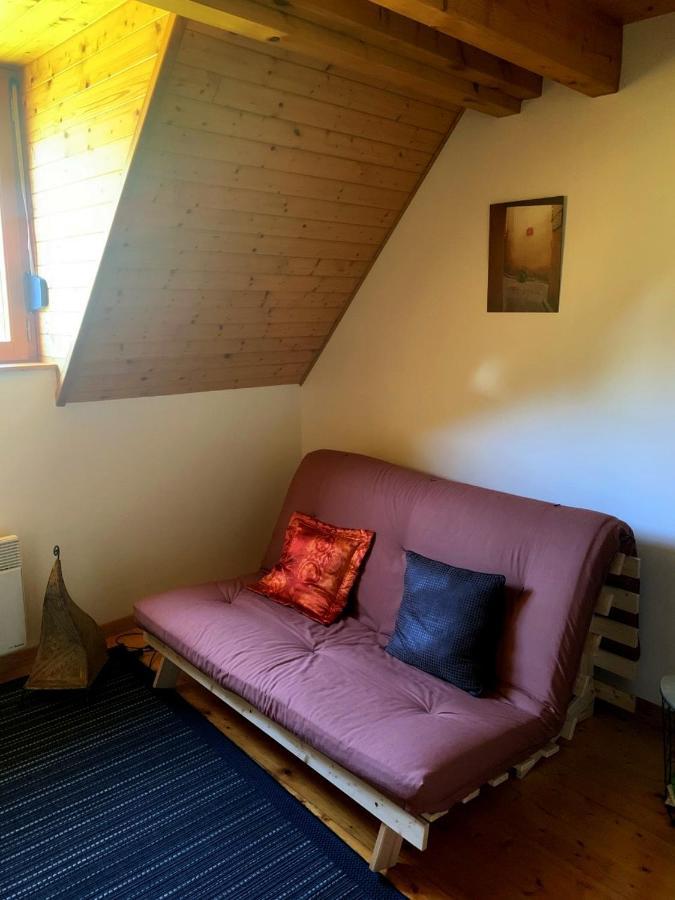 Appartement Dans Chalet Avec Jardin, Vue Montagne 欧坎 外观 照片